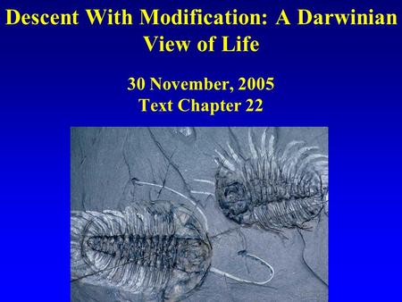 Descent With Modification: A Darwinian View of Life 30 November, 2005 Text Chapter 22.