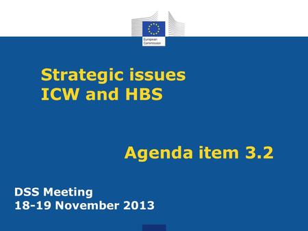Strategic issues ICW and HBS Agenda item 3.2 DSS Meeting 18-19 November 2013.