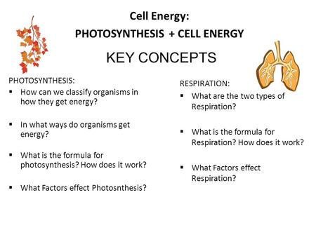 Cell Energy: PHOTOSYNTHESIS + CELL ENERGY PHOTOSYNTHESIS:  How can we classify organisms in how they get energy?  In what ways do organisms get energy?