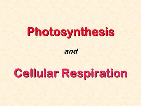 Photosynthesis and Cellular Respiration. All living things depend on energy ATP is used by all cells as their basic energy source Where does this ATP.