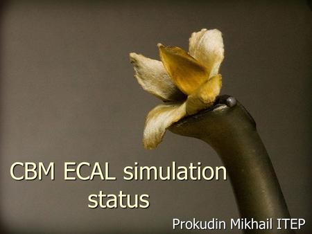 CBM ECAL simulation status Prokudin Mikhail ITEP.