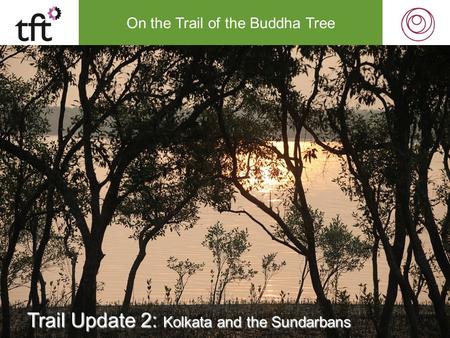 On the Trail of the Buddha Tree Trail Update 2: Kolkata and the Sundarbans.