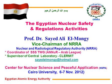 Prof. Dr. Sayed Ali El-Mongy