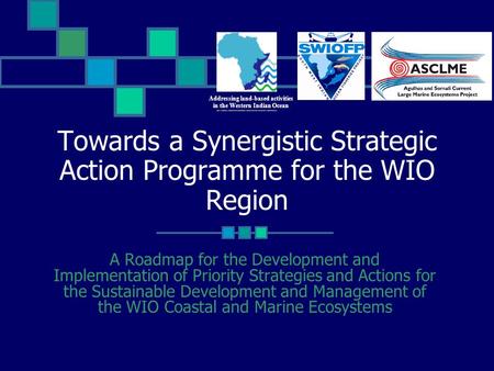 Towards a Synergistic Strategic Action Programme for the WIO Region A Roadmap for the Development and Implementation of Priority Strategies and Actions.