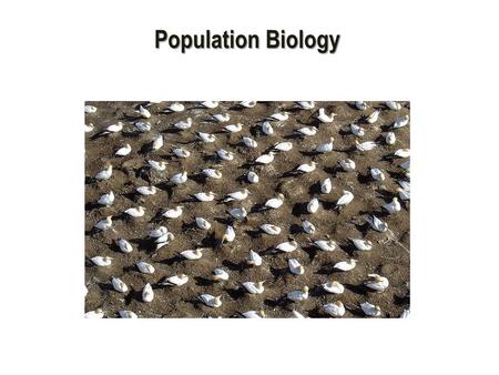 Population Biology. How Study Populations? Geographic Range Density and Distribution Growth rate Age structure.