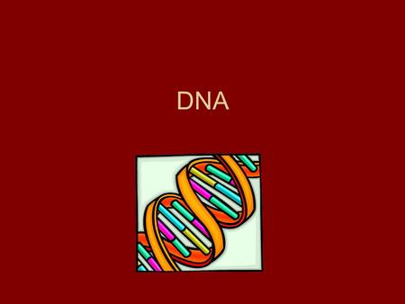 DNA. What is DNA? DNA (Deoxyribonucleic Acid)- is the information of life Achieves its control by determining the structure of proteins The complete instructions.