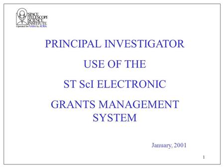 1 PRINCIPAL INVESTIGATOR USE OF THE ST ScI ELECTRONIC GRANTS MANAGEMENT SYSTEM January, 2001.