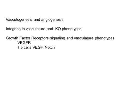 Vasculogenesis and angiogenesis Integrins in vasculature and KO phenotypes Growth Factor Receptors signaling and vasculature phenotypes VEGFR Tip cells.