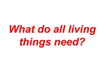 What do all living things need?