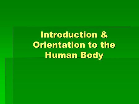 Introduction & Orientation to the Human Body. Anatomy  Field of study that describes the structure, location, and relationships of body parts.
