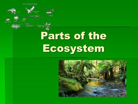 Parts of the Ecosystem. What is Ecology?  Study of the interactions between organisms and their environment.