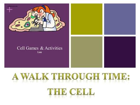 + Cell Games & Activities Link + What is a Cell? Cells are the structural and functional units of all living organisms. Some organisms, such as bacteria,