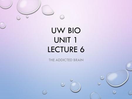 UW Bio Unit 1 Lecture 6 The Addicted Brain.