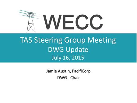 TAS Steering Group Meeting DWG Update July 16, 2015 Jamie Austin, PacifiCorp DWG - Chair.