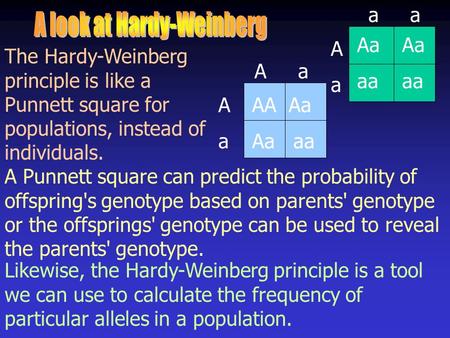 The Hardy-Weinberg principle is like a Punnett square for populations, instead of individuals. A Punnett square can predict the probability of offspring's.