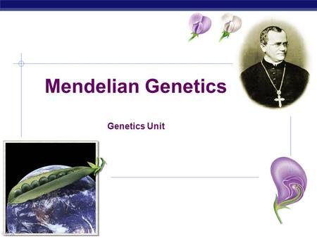 AP Biology Mendelian Genetics Genetics Unit. AP Biology History of Genetics 1. 1865: Gregor Mendel (Austrian monk) presented results of 10 years of experimentation.