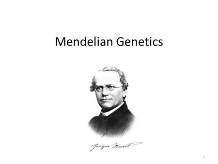 Mendelian Genetics 1. Gregor Mendel (1822-1884) Father of genetics Austrian Monk Between 1856 – 1863 he studied ~28,000 pea plants Importance of his work.