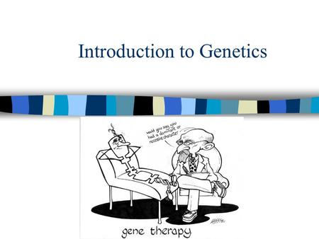 Introduction to Genetics. What is Genetics? Genetics - The study of heredity Genes - set of characteristics inherited from your parents –Found on chromosomes.