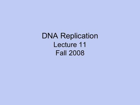 DNA Replication Lecture 11 Fall 2008. Read pgs. 305-312.