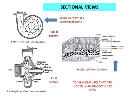 Sectional view of a centrifugal pump Radial section Axial section Sectional view of a leaf SECTIONAL VIEWS TO VIEW FEATURES THAT ARE HIDDEN IN AN UN-SECTIONED.