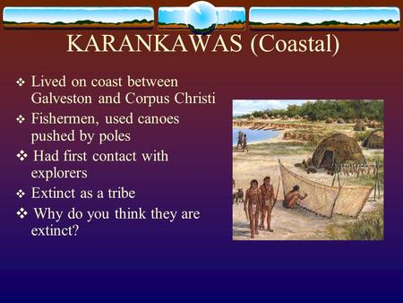 KARANKAWAS (Coastal) ❖ Lived on coast between Galveston and Corpus Christi ❖ Fishermen, used canoes pushed by poles ❖ Had first contact with explorers.