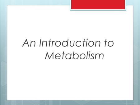 An Introduction to Metabolism. Metabolism/Bioenergetics  Metabolism: The totality of an organism’s chemical processes; managing the material and energy.