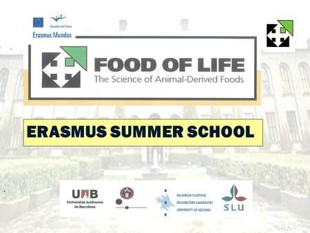 . ERASMUS SUMMER SCHOOL. Summer School Purpose b Enhancement and “rounding-off” of first year b Preparation for second year b Support to second student.