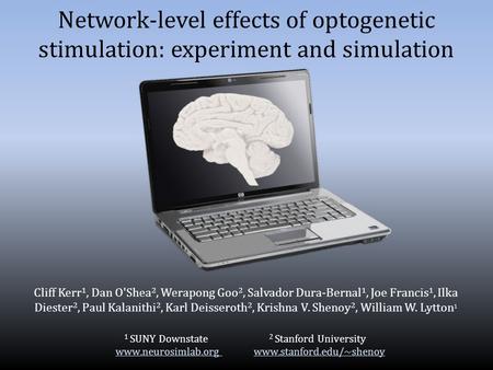 Network-level effects of optogenetic stimulation: experiment and simulation Cliff Kerr 1, Dan O'Shea 2, Werapong Goo 2, Salvador Dura-Bernal 1, Joe Francis.