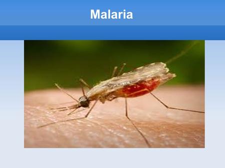 Malaria. Malaria can occur despite taking anti-malarial drugs and symptoms of malaria infection usually occur within 9 to 14 days.