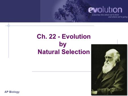 AP Biology 2006-2007 Ch. 22 - Evolution by Natural Selection.