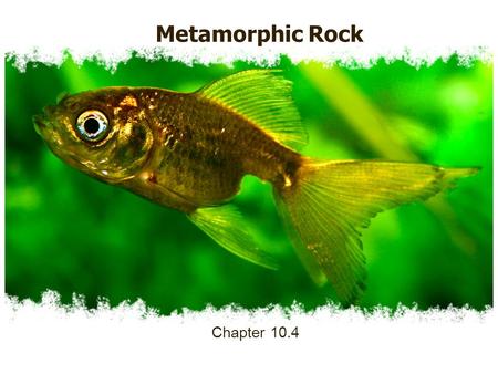 Metamorphic Rock Chapter 10.4. Metamorphic Rock 1.Metamorphic Rock a.Rock formed from other rocks as a result of intense heat, pressure, or chemical processes.