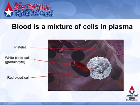 Blood is a mixture of cells in plasma Red blood cell Platelet White blood cell (granulocyte)