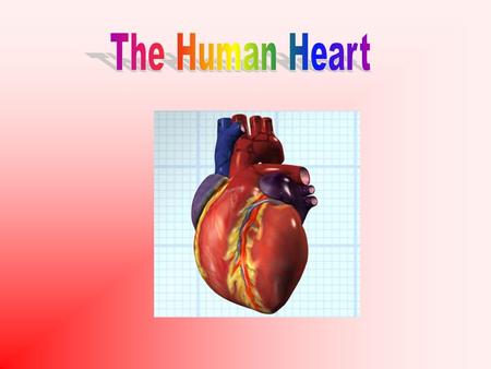 Aim: How is blood circulated in the human heart? I. Heart Circulation A. Heart is divided into 2 sides (left and right) 1. Left side contains oxygenated.
