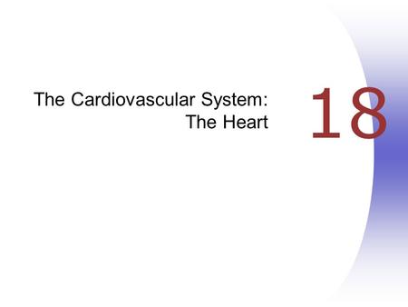 18 The Cardiovascular System: The Heart. Heart Anatomy  Approximately the size of your fist  Location  Superior surface of diaphragm  Left of the.
