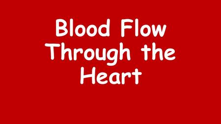 Blood Flow Through the Heart. Right Lung Left Lung.