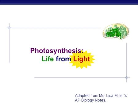 AP Biology Photosynthesis: Life from Light Adapted from Ms. Lisa Miller’s AP Biology Notes.