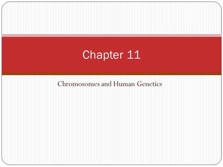 Chromosomes and Human Genetics Chapter 11. Karyotyping Separating chromosomes for an individual The human chromosomes have been karyotyped to see what.