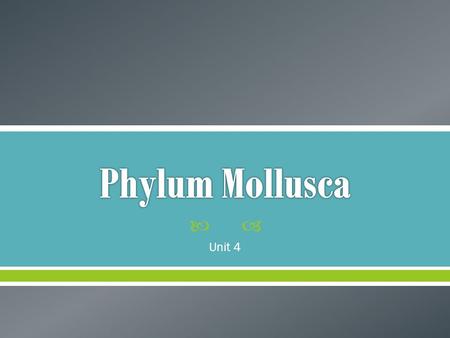 Phylum Mollusca Unit 4.