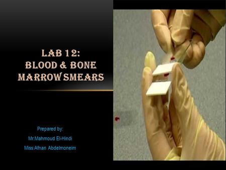 laB 12: Blood & Bone marrow smears