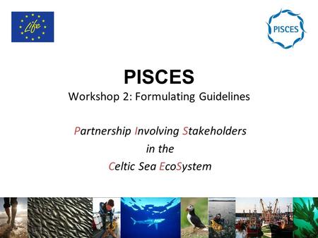 PISCES Workshop 2: Formulating Guidelines Partnership Involving Stakeholders in the Celtic Sea EcoSystem.