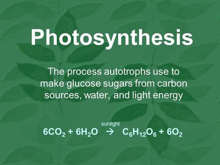 Photosynthesis The process autotrophs use to make glucose sugars from carbon sources, water, and light energy 6CO 2 + 6H 2 O  C 6 H 12 O 6 + 6O 2 sunlight.