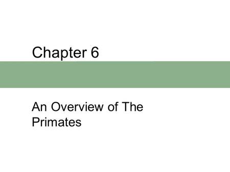 Chapter 6 An Overview of The Primates. Chapter Outline  Characteristics of Primates  Primate Adaptations  Primates Classification  A Survey of the.
