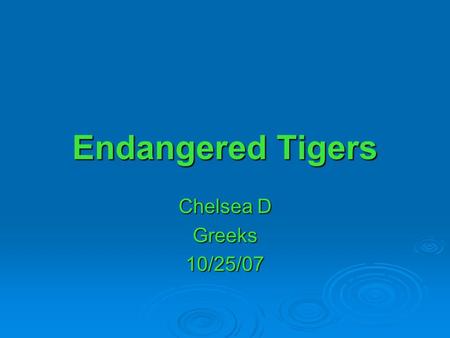 Endangered Tigers Chelsea D Greeks 10/25/07.