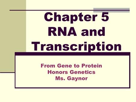 Chapter 5 RNA and Transcription From Gene to Protein Honors Genetics Ms. Gaynor.