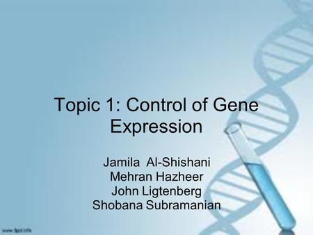 Topic 1: Control of Gene Expression Jamila Al-Shishani Mehran Hazheer John Ligtenberg Shobana Subramanian.