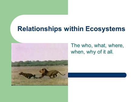 Relationships within Ecosystems The who, what, where, when, why of it all.