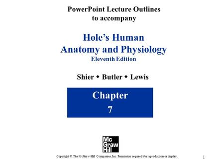 1 PowerPoint Lecture Outlines to accompany Hole’s Human Anatomy and Physiology Eleventh Edition Shier  Butler  Lewis Chapter 7 Copyright © The McGraw-Hill.
