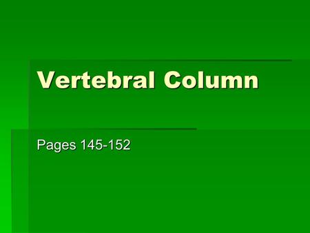 Vertebral Column Pages 145-152. Vertebral Column  Also called the “Spine”  Serves as the axial support of the body  Formed from 26 irregular bones.
