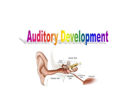 Prenatal stimulation The human fetus possesses rudimentary hearing from 20 weeks of gestation. This hearing will develop and mature during the remainder.