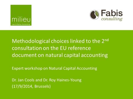 Methodological choices linked to the 2 nd consultation on the EU reference document on natural capital accounting Expert workshop on Natural Capital Accounting.